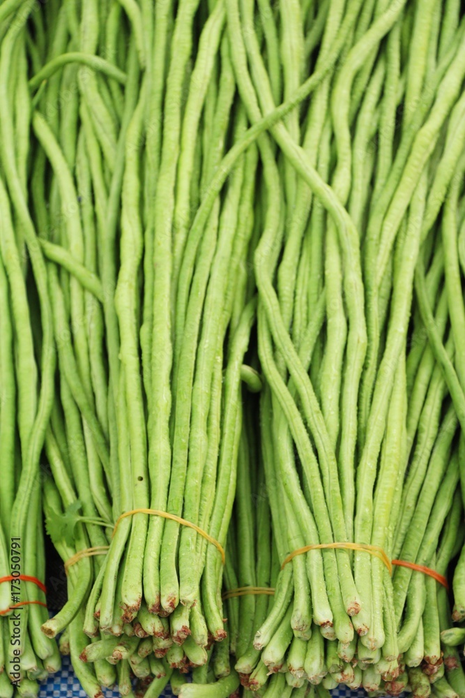 Long bean for cooking in the market Long bean for cooking in the market