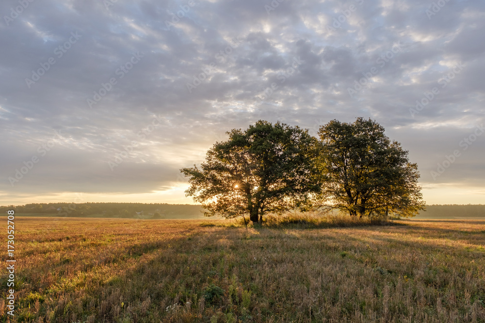 morning autumn landscape morning autumn landscape