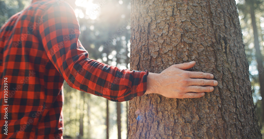 Unrecognizable portrait of young man walking in a forest. Close up of a male hand touching tree in the woods. 