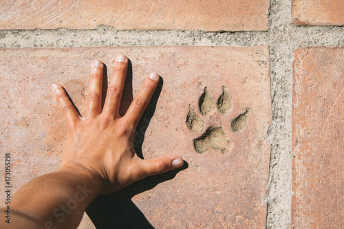 Person hand and footprint dog photo