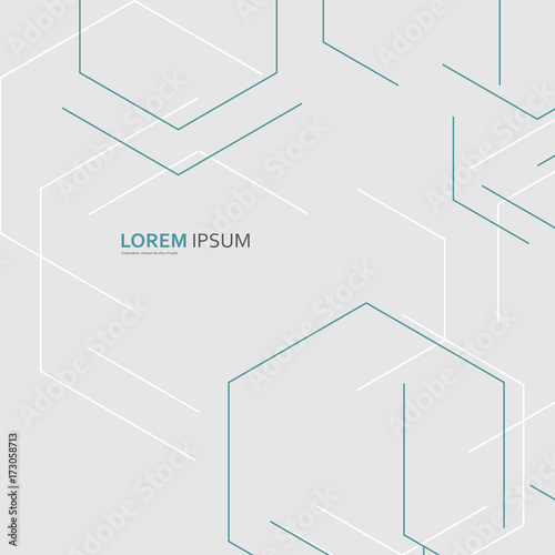 Creative Background Large Hexagons / Vector For Advertising Purposes