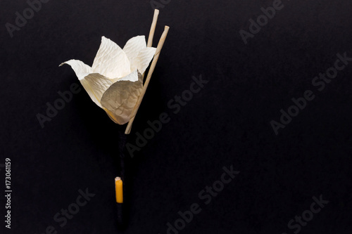 Fototapeta Naklejka Na Ścianę i Meble -  Kind of wood flower isolated on black background; to be placed on the site of cremation in Thailand. (Dok Mai Jan)