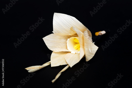 Fototapeta Naklejka Na Ścianę i Meble -  Kind of wood flower isolated on black background; to be placed on the site of cremation in Thailand. (Dok Mai Jan)
