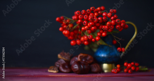 autumn still life with Rowan