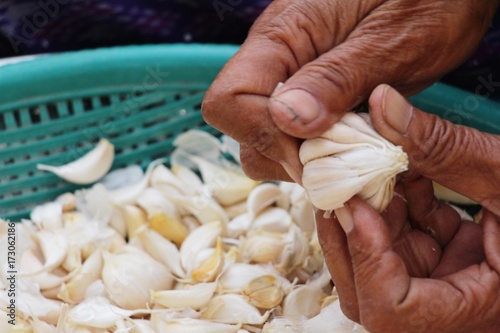 garlic in the market