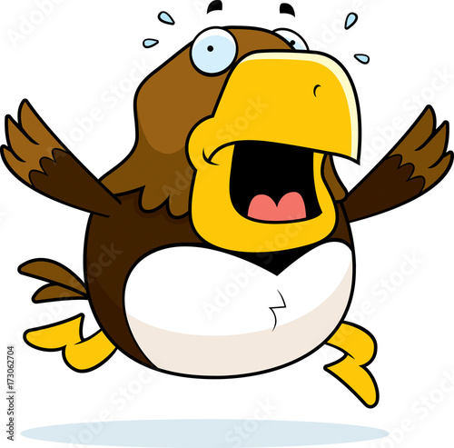 Cartoon Hawk Panic
