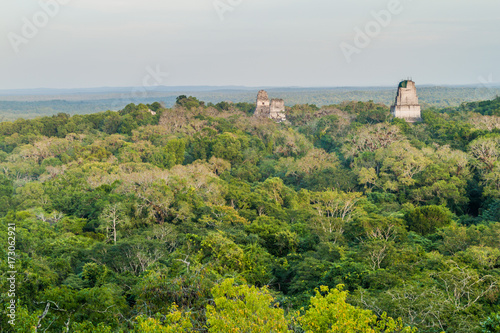 Temples at the archaelogical site Tikal, Guatemala