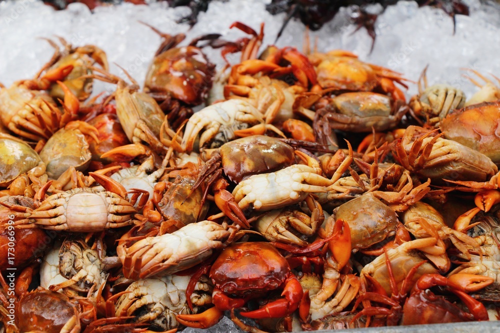 Crab on ice for cooking in street food Crab on ice for cooking in street food