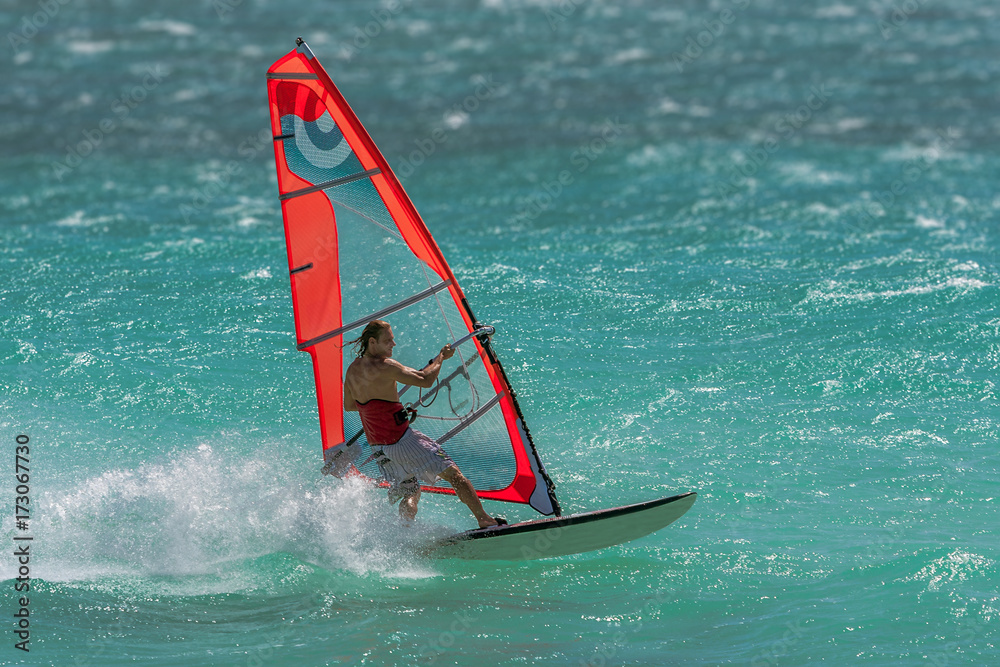 Naklejka premium Windsurfer