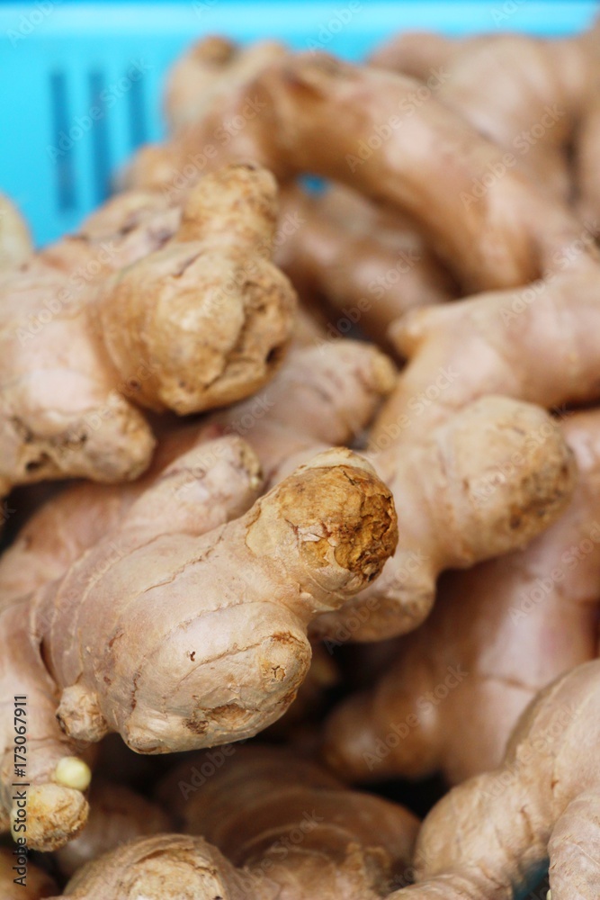 Ginger root for cooking in the market