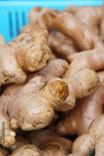 Ginger root for cooking in the market