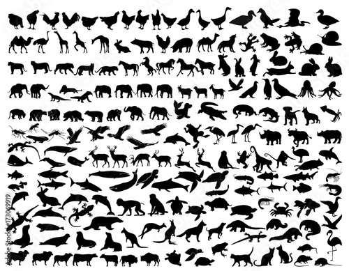 a collection of animal silhouettes