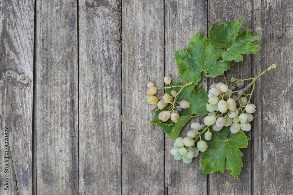 Green grapes with leafs on old wooden table. High angle view Green grapes with leafs on old wooden table. High angle view
