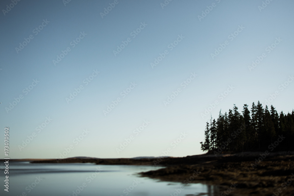Trees by water Landscape Trees by water Landscape