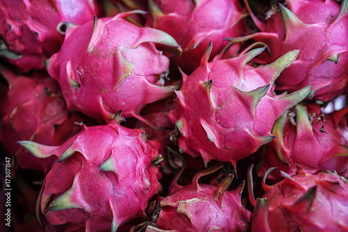 pink fresh dragon fruit at the market