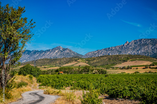 Dans la campagne autour de Maury