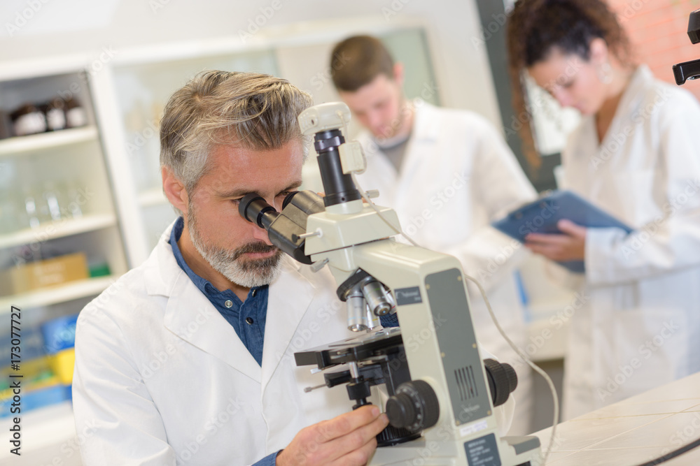 closeup of mature male scientist using microscope in laboratory closeup of mature male scientist using microscope in laboratory