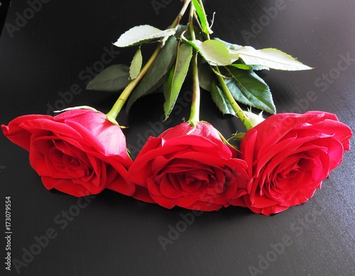 roses