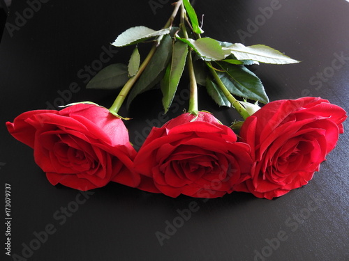 roses