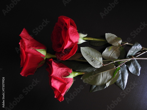 roses