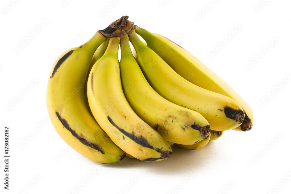Bunch of Nanica Banana Bunch of Nanica Banana