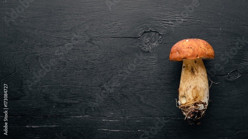 Mushroom Boletus. On a black wooden background. Top view. Free space for text.
