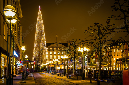 Hamburgs Christmas tree at Town hall