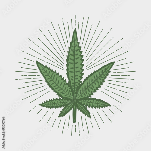 Cannabis leaf print. Marijuana stamp with sunray. Label in vintage hipster style. Graphic design for clothes, t-shirt, apparel, logo. Vector illustration.