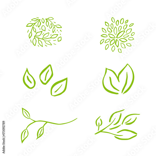 Vector floral with leaves  branches  plant elements