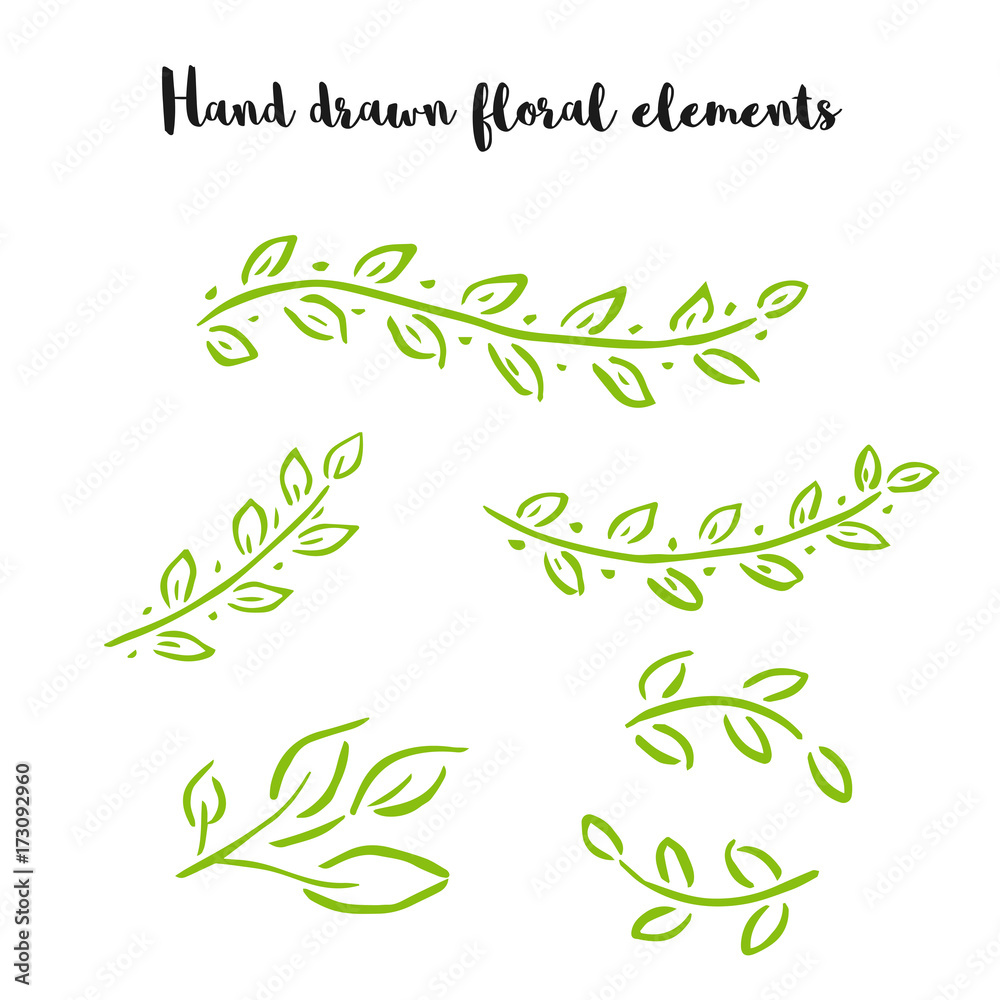 Vector floral with leaves, branches, plant elements