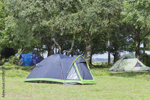 Blue and green camping tents under the trees in the woodland, on a sunny summer day . © Yols