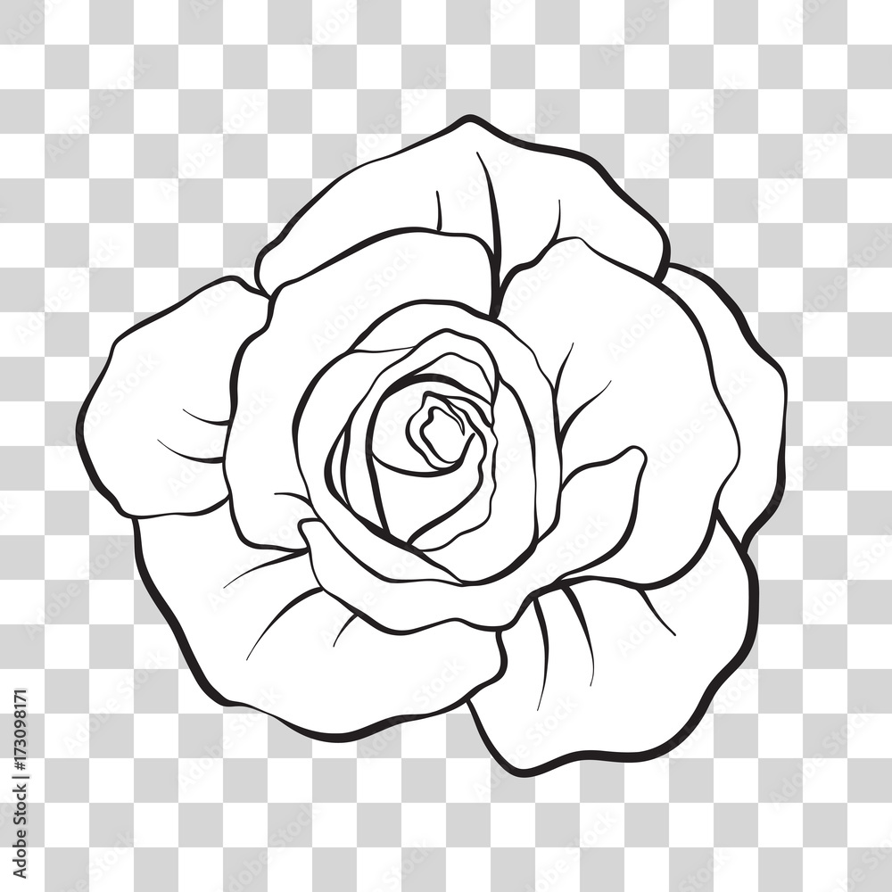 Isolated outline rose flower. Stock vector illustration. Isolated outline rose flower. Stock vector illustration.
