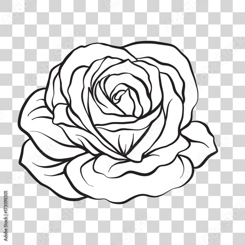 Fototapeta Naklejka Na Ścianę i Meble -  Isolated outline rose flower. Stock vector illustration.