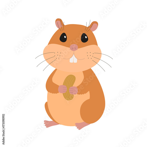 Cute hamster with a nut