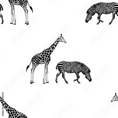 Seamless pattern of hand drawn sketch style giraffe and zebra. Vector illustration isolated on white background.