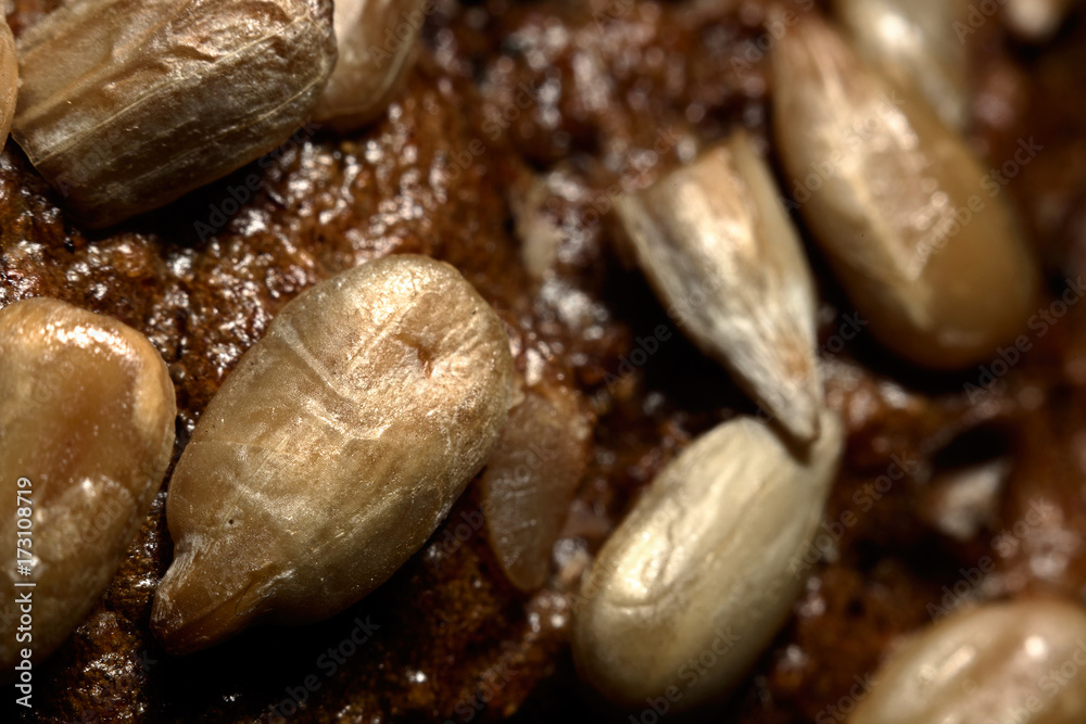 Macro texture of rye bread with sunflower seeds