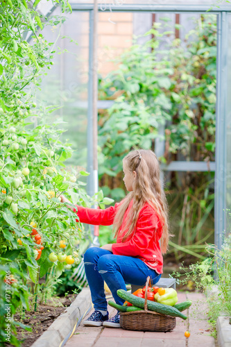 Adorable little girl harvesting cucumbers and tomatoes in greenhouse. Portrait of kid with red tomato in hands.