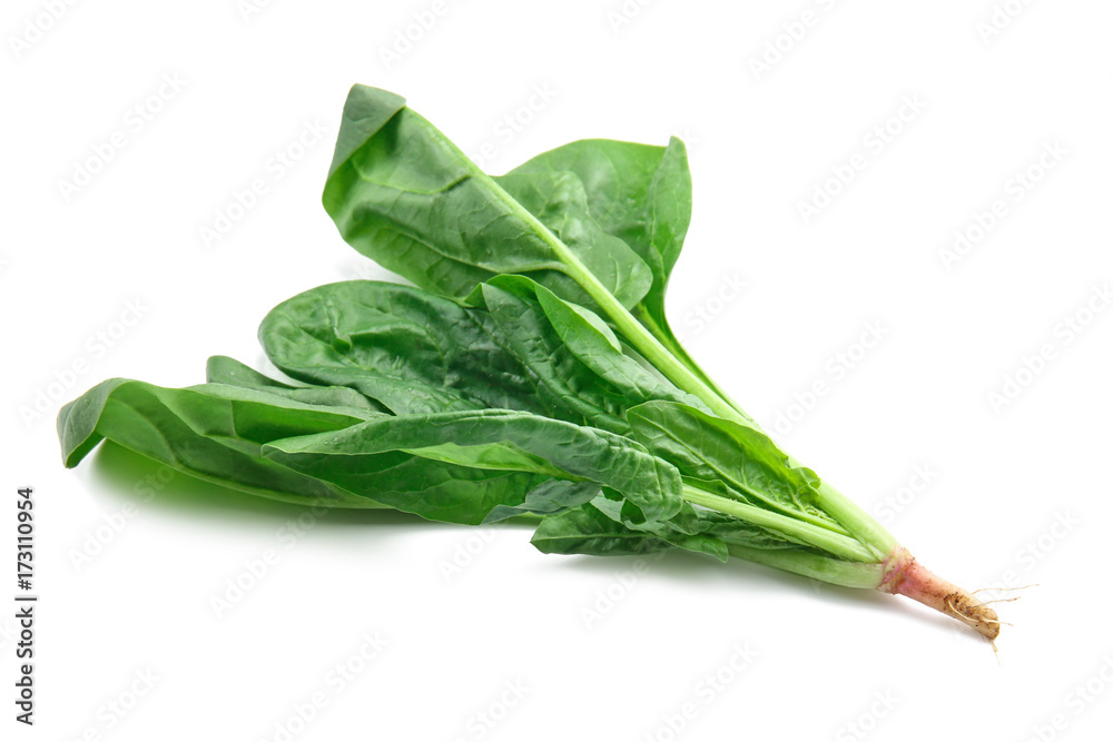 Fresh spinach leaves on white background Fresh spinach leaves on white background