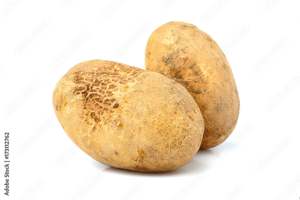 Two raw potatoes isolated closeup.