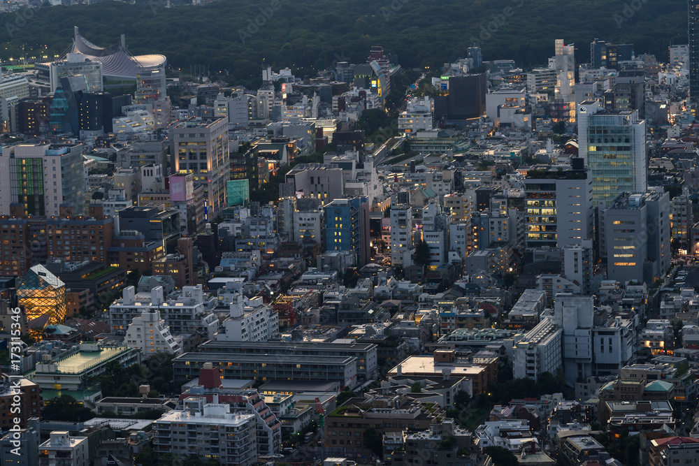 Fototapeta premium 東京の夜景風景