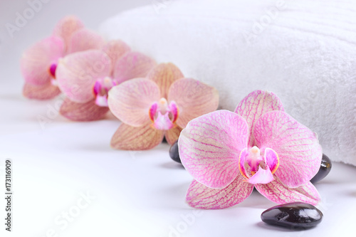 Orchids and spa stones on white towel