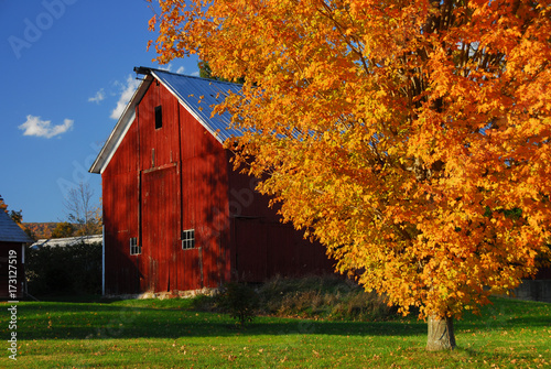 Red barn surrounded by yellow fall leaves in New England