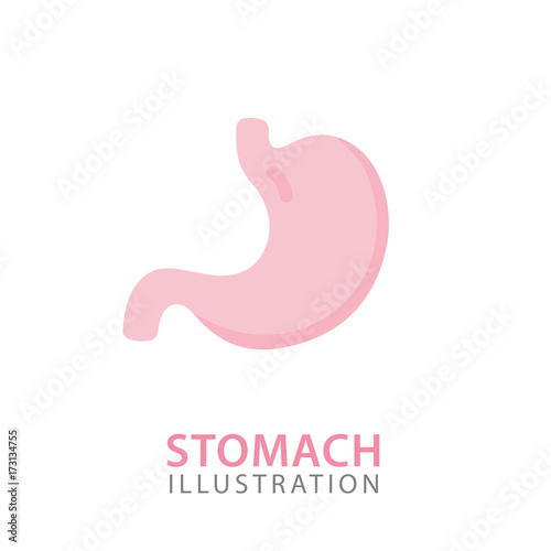 Stomach Organ Anatomy Illustration. Human Internal Organs Concept. Vector Illustration