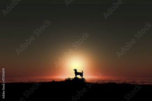 日の出を見る犬のシルエット © bigfoot