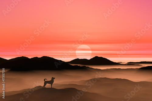 日の出を見る犬のシルエット