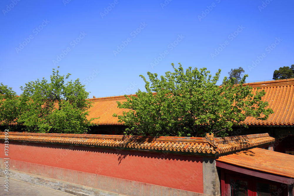 The Forbidden City (Palace Museum) in China The Forbidden City (Palace Museum) in China