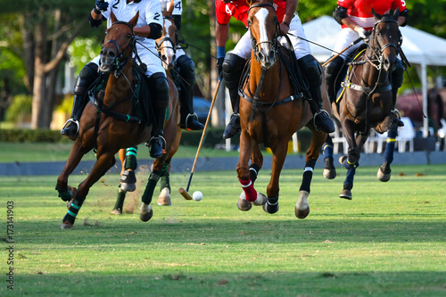 Horses Running In The Polo Game