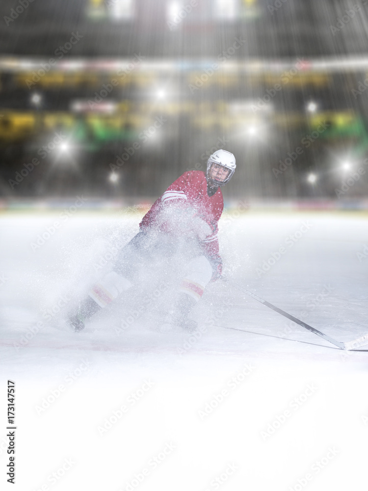 Fototapeta premium ice hockey player in action