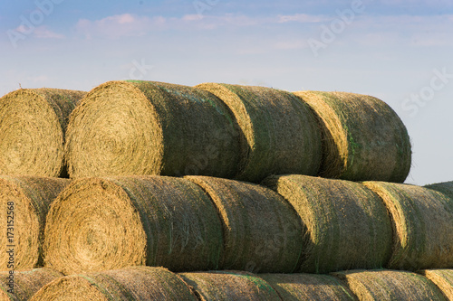 Multiple large round golden hay bales stacked and photographed in natural light. Blue sky with a cloud bank is in the background.