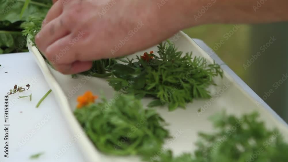 Person prepares gourmet salad outside, close up Person prepares gourmet salad outside, close up